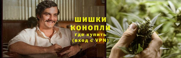прущие грибы Белокуриха