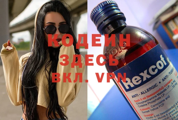 прущие грибы Белокуриха