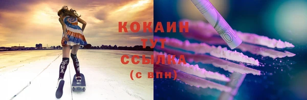 прущие грибы Белокуриха