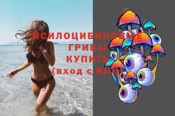 прущие грибы Белокуриха