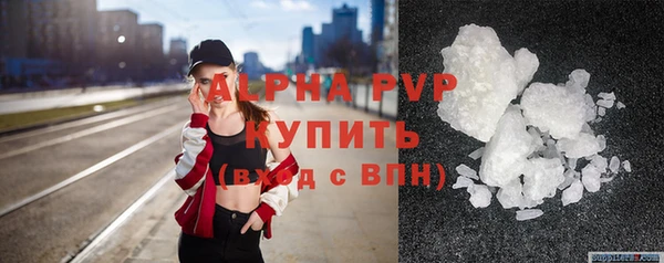 прущие грибы Белокуриха