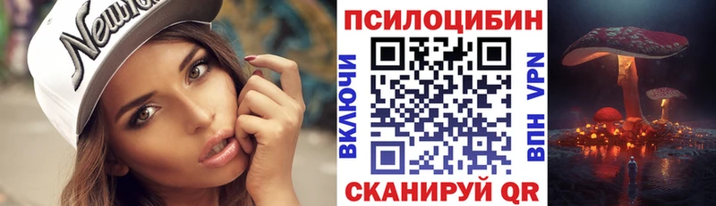 наркота  Снежногорск  Галлюциногенные грибы Psilocybe 